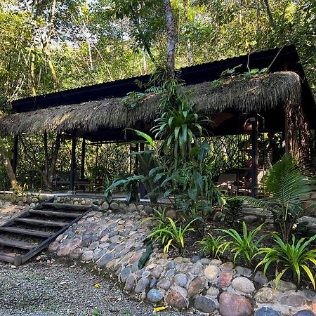 Kuyana Amazon Lodge Archidona Luaran gambar