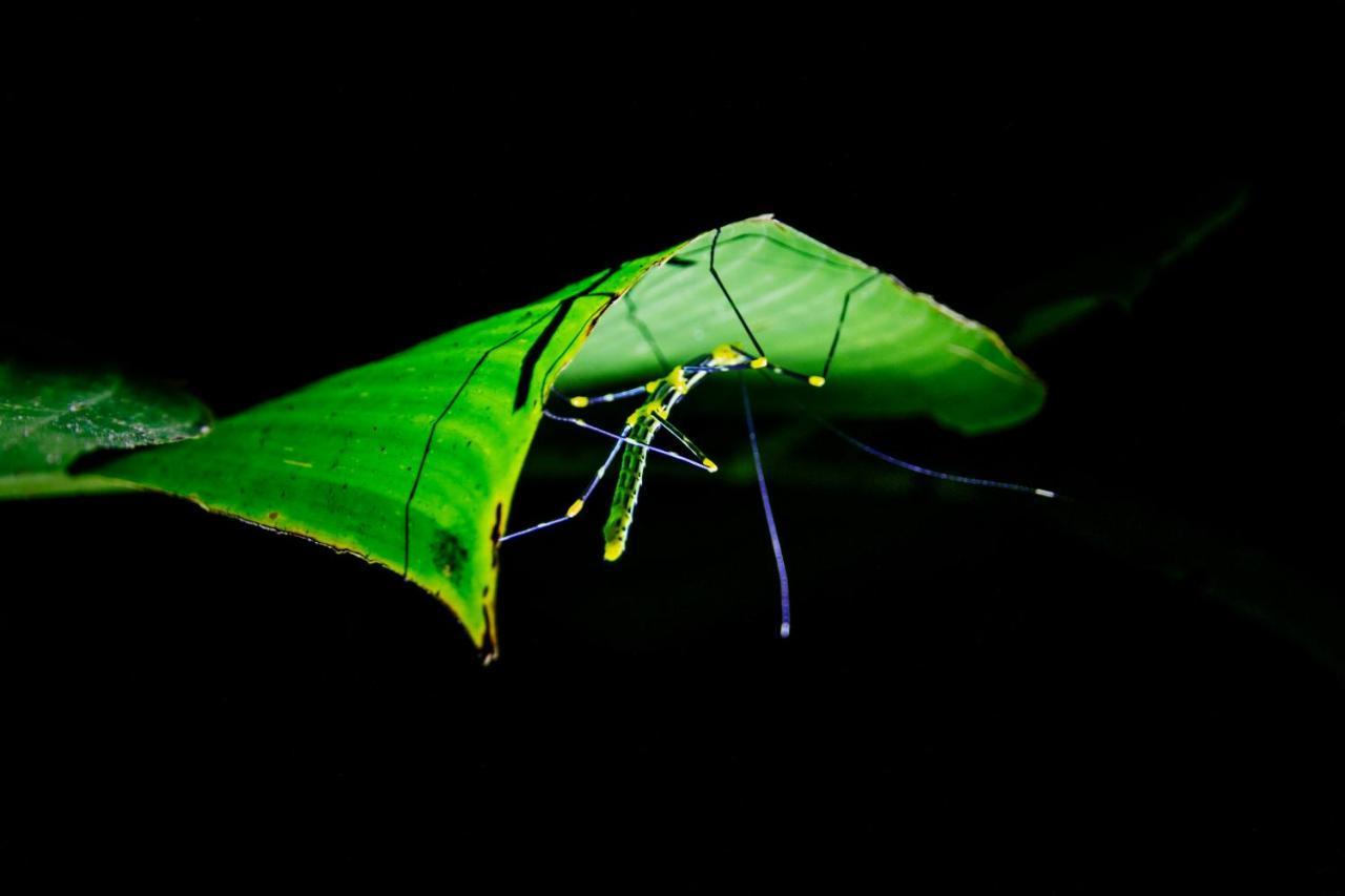 Kuyana Amazon Lodge Archidona Luaran gambar