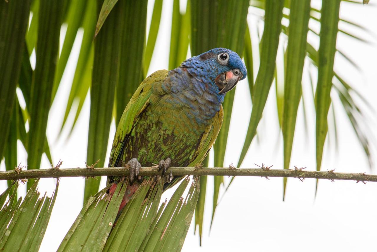 Kuyana Amazon Lodge Archidona Luaran gambar