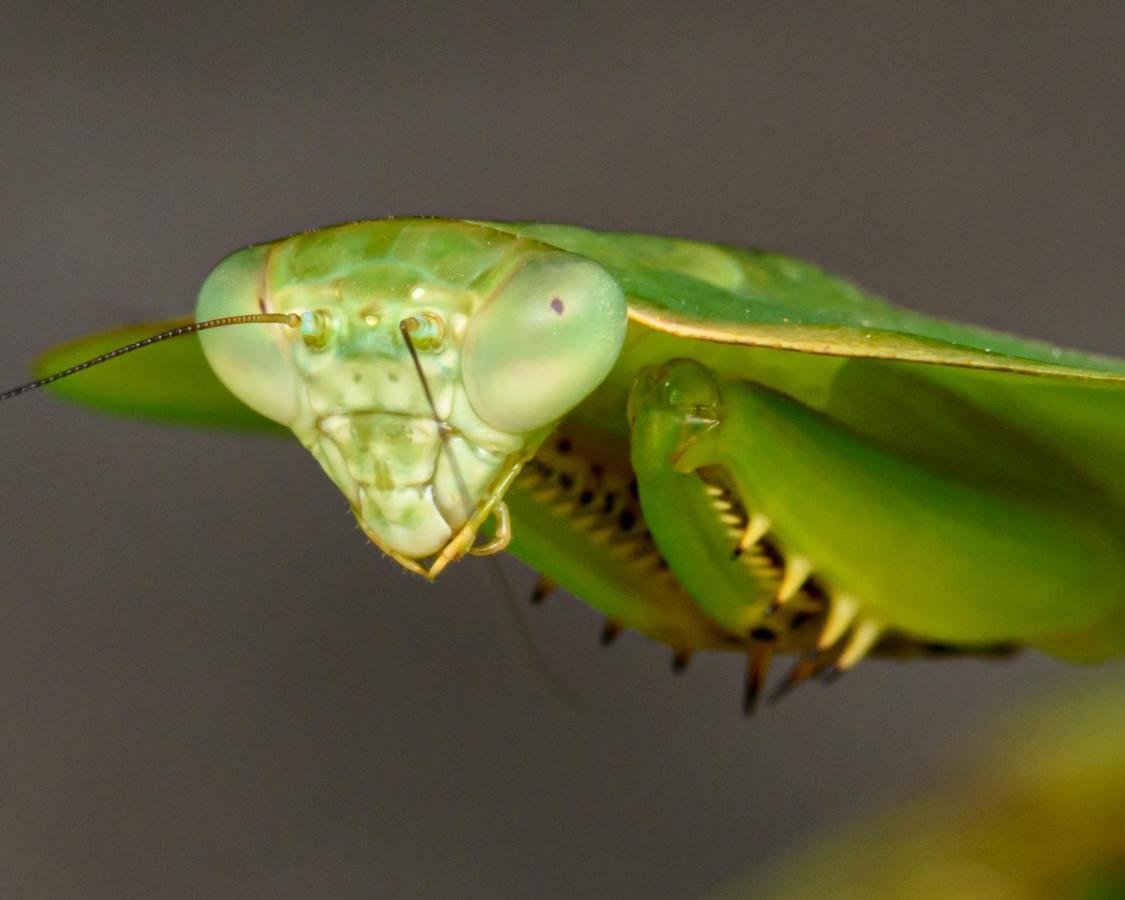 Kuyana Amazon Lodge Archidona Luaran gambar