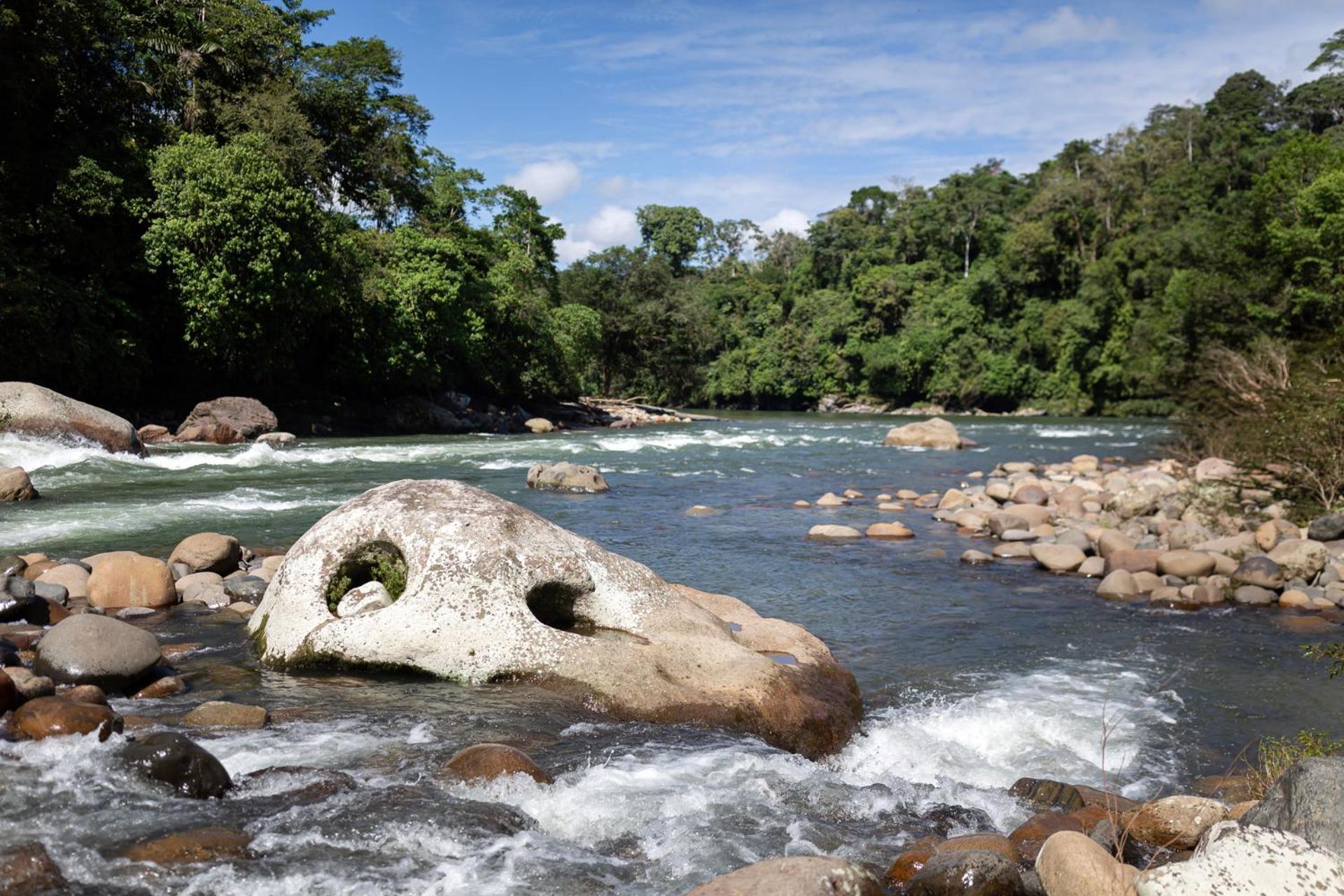 Kuyana Amazon Lodge Archidona Luaran gambar